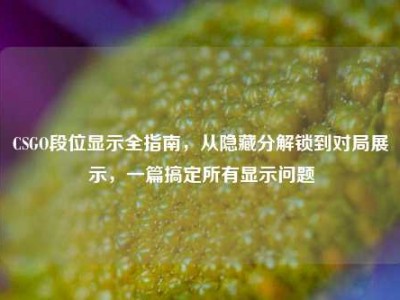 CSGO段位显示全指南，从隐藏分解锁到对局展示，一篇搞定所有显示问题
