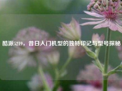 酷派5219，昔日入门机型的独特印记与型号探秘