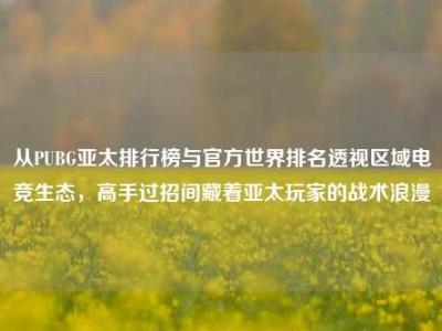 从PUBG亚太排行榜与官方世界排名透视区域电竞生态，高手过招间藏着亚太玩家的战术浪漫