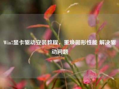 Win7显卡驱动安装教程，重焕图形性能 解决驱动问题