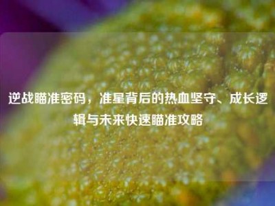 逆战瞄准密码，准星背后的热血坚守、成长逻辑与未来快速瞄准攻略