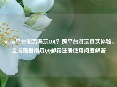 Steam平台能否畅玩LOL？跨平台游玩真实体验、全流程指南及QQ邮箱注册使用问题解答