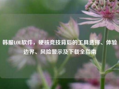 韩服LOL软件，硬核竞技背后的工具选择、体验边界、风险警示及下载全指南