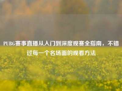 PUBG赛事直播从入门到深度观赛全指南，不错过每一个名场面的观看方法