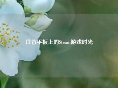 往昔平板上的Steam游戏时光