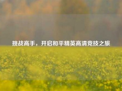 挑战高手，开启和平精英高清竞技之旅