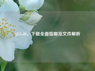 ijl15.dll，下载全面指南及文件解析