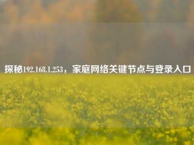探秘192.168.1.253，家庭网络关键节点与登录入口
