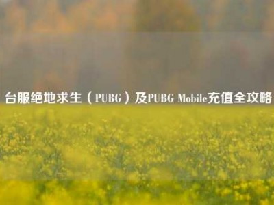 台服绝地求生（PUBG）及PUBG Mobile充值全攻略