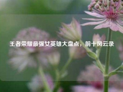 王者荣耀最强女英雄大盘点，前十风云录