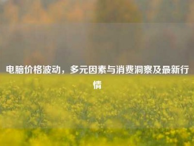 电脑价格波动，多元因素与消费洞察及最新行情