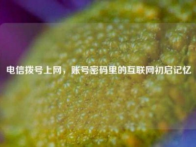 电信拨号上网，账号密码里的互联网初启记忆