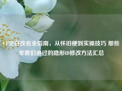 CF空白改名全指南，从怀旧梗到实操技巧 那些年我们追过的隐形ID修改方法汇总