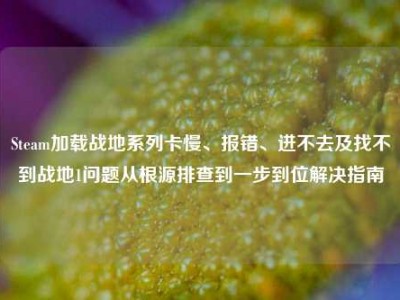 Steam加载战地系列卡慢、报错、进不去及找不到战地1问题从根源排查到一步到位解决指南