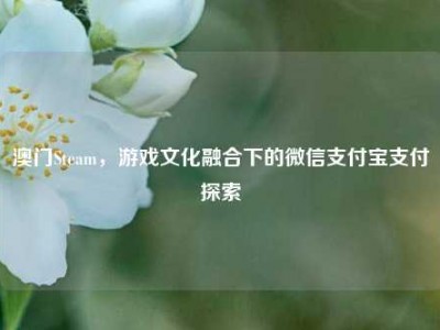 澳门Steam，游戏文化融合下的微信支付宝支付探索