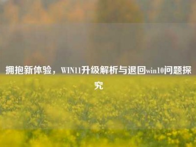 拥抱新体验，WIN11升级解析与退回win10问题探究