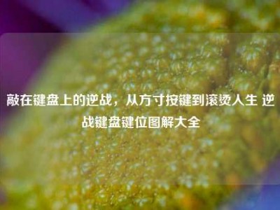 敲在键盘上的逆战，从方寸按键到滚烫人生 逆战键盘键位图解大全