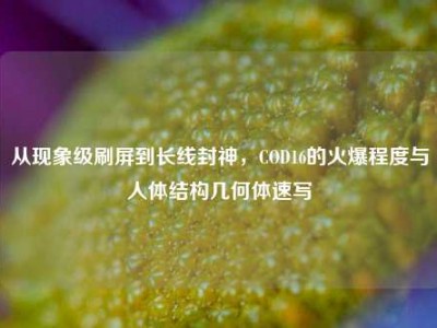 从现象级刷屏到长线封神，COD16的火爆程度与人体结构几何体速写