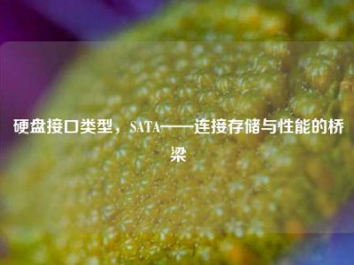 硬盘接口类型，SATA——连接存储与性能的桥梁