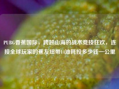 PUBG香蕉国际，跨越山海的战术竞技狂欢，连接全球玩家的蕉友纽带14油耗投多少钱一公里