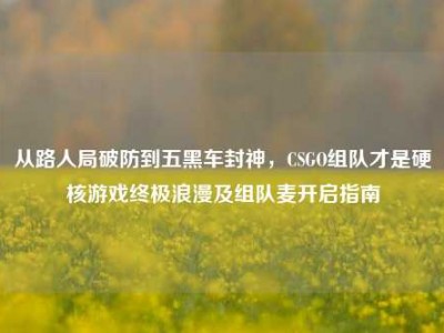 从路人局破防到五黑车封神，CSGO组队才是硬核游戏终极浪漫及组队麦开启指南
