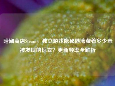 暗潮商店Steam，独立游戏隐秘港湾藏着多少未被发现的惊喜？更新频率全解析