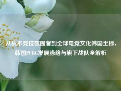 从战术竞技破圈者到全球电竞文化韩国坐标，韩国PUBG发展脉络与旗下战队全解析