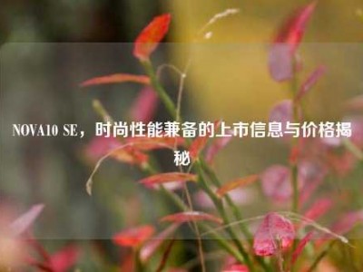 NOVA10 SE，时尚性能兼备的上市信息与价格揭秘