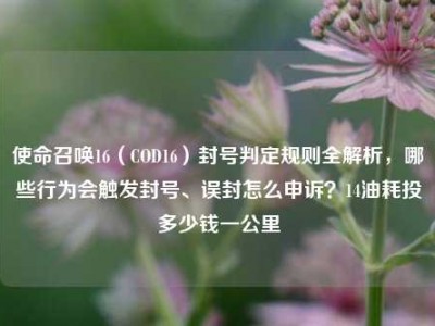使命召唤16（COD16）封号判定规则全解析，哪些行为会触发封号、误封怎么申诉？14油耗投多少钱一公里