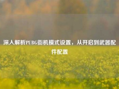 深入解析PUBG街机模式设置，从开启到武器配件配置