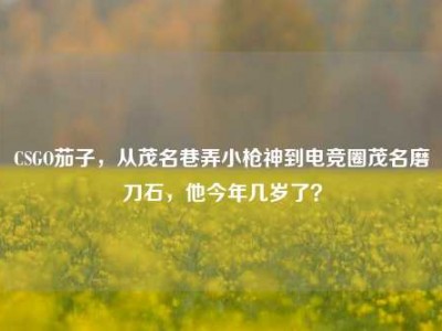 CSGO茄子，从茂名巷弄小枪神到电竞圈茂名磨刀石，他今年几岁了？