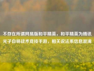 不存在所谓网易版和平精英，和平精英为腾讯光子自研战术竞技手游，相关说法系信息混淆