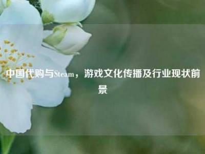 中国代购与Steam，游戏文化传播及行业现状前景