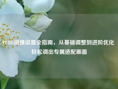 PUBG图像设置全指南，从基础调整到进阶优化 轻松调出专属适配画面