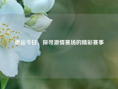 奥运今日，探寻激情赛场的精彩赛事