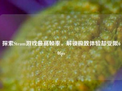 探索Steam游戏最高帧率，解锁极致体验却受限60fps