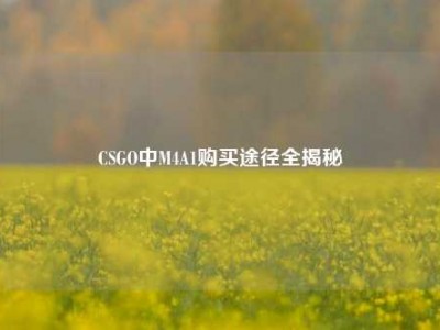 CSGO中M4A1购买途径全揭秘