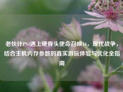 老伙计PS4遇上硬骨头使命召唤16，现代战争，结合主机内存参数的真实游玩体验与优化全指南
