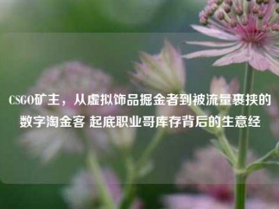 CSGO矿主，从虚拟饰品掘金者到被流量裹挟的数字淘金客 起底职业哥库存背后的生意经