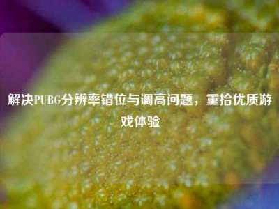 解决PUBG分辨率错位与调高问题，重拾优质游戏体验