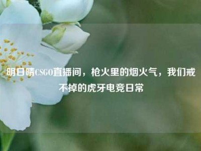明日晴CSGO直播间，枪火里的烟火气，我们戒不掉的虎牙电竞日常