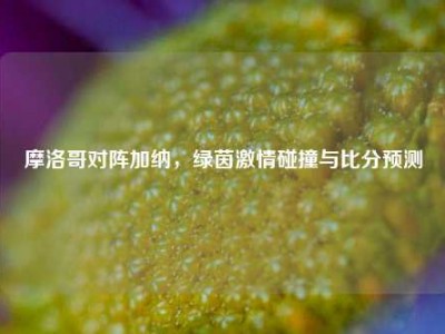 摩洛哥对阵加纳，绿茵激情碰撞与比分预测