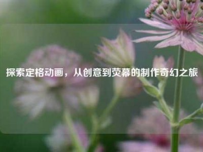 探索定格动画，从创意到荧幕的制作奇幻之旅