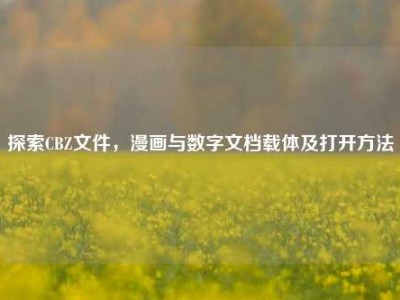 探索CBZ文件，漫画与数字文档载体及打开方法