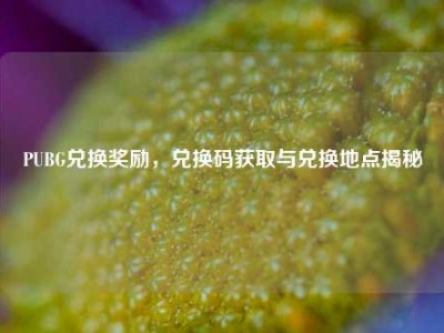 PUBG兑换奖励，兑换码获取与兑换地点揭秘