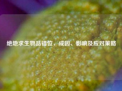 绝地求生物品错位，成因、影响及应对策略