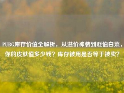 PUBG库存价值全解析，从溢价神装到贬值白菜，你的皮肤值多少钱？库存被用是否等于被卖？