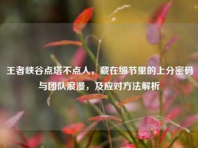 王者峡谷点塔不点人，藏在细节里的上分密码与团队浪漫，及应对方法解析