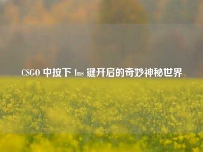 CSGO 中按下 Ins 键开启的奇妙神秘世界
