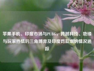 苹果手机、印度市场与PUBG，跨越科技、地缘与玩家热情的三角博弈及印度罚款缴纳情况追踪